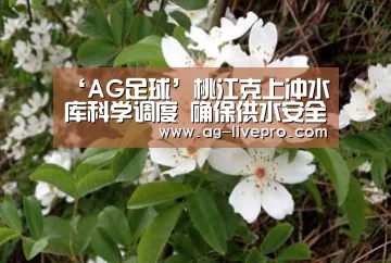 ‘AG足球’桃江克上冲水库科学调度 确保供水安全(图2) AG体育