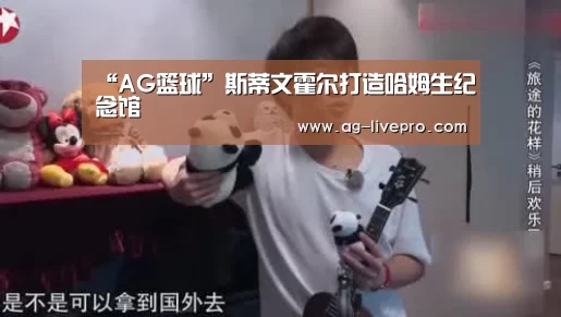 “AG篮球”斯蒂文霍尔打造哈姆生纪念馆(图4) AG篮球