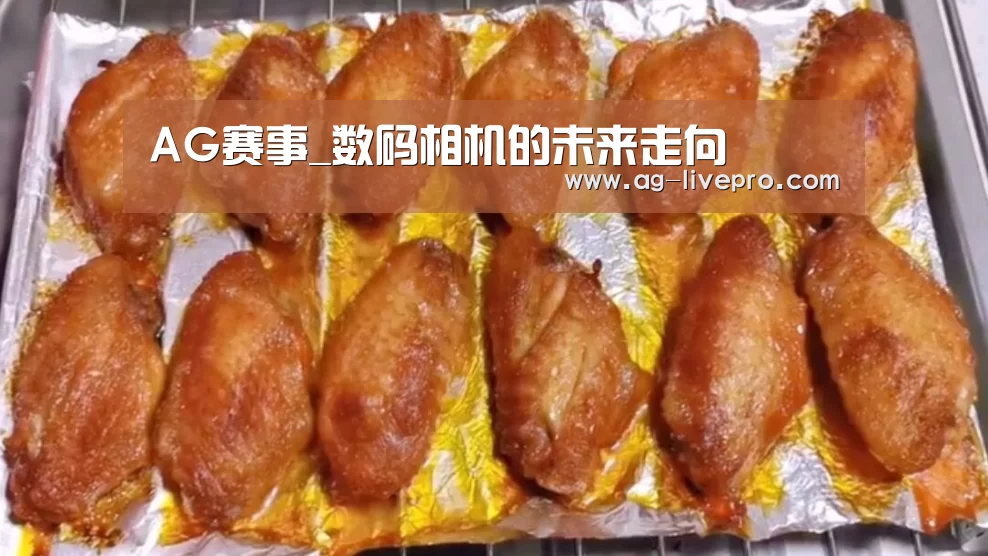AG赛事_数码相机的未来走向(图2) AG赛事