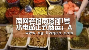 南网老挝南塔河1号水电站正式商运:AG足球(图2) AG体育