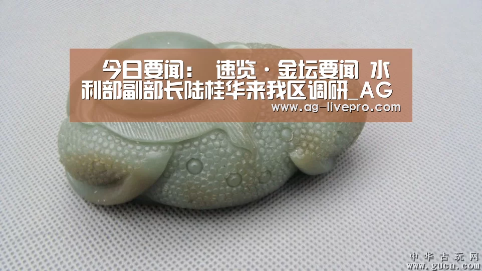 今日要闻: 速览·金坛要闻 水利部副部长陆桂华来我区调研_AG体育(图4) AG篮球